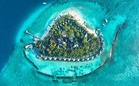 فيفانتا باي تاج - كورال ريف